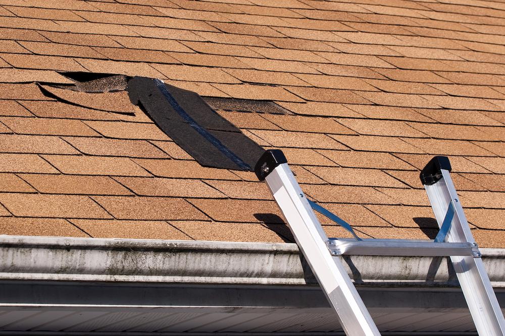 Noblesville Roof Inspections help extend roof lifespan image shows ladder and damaged shingles