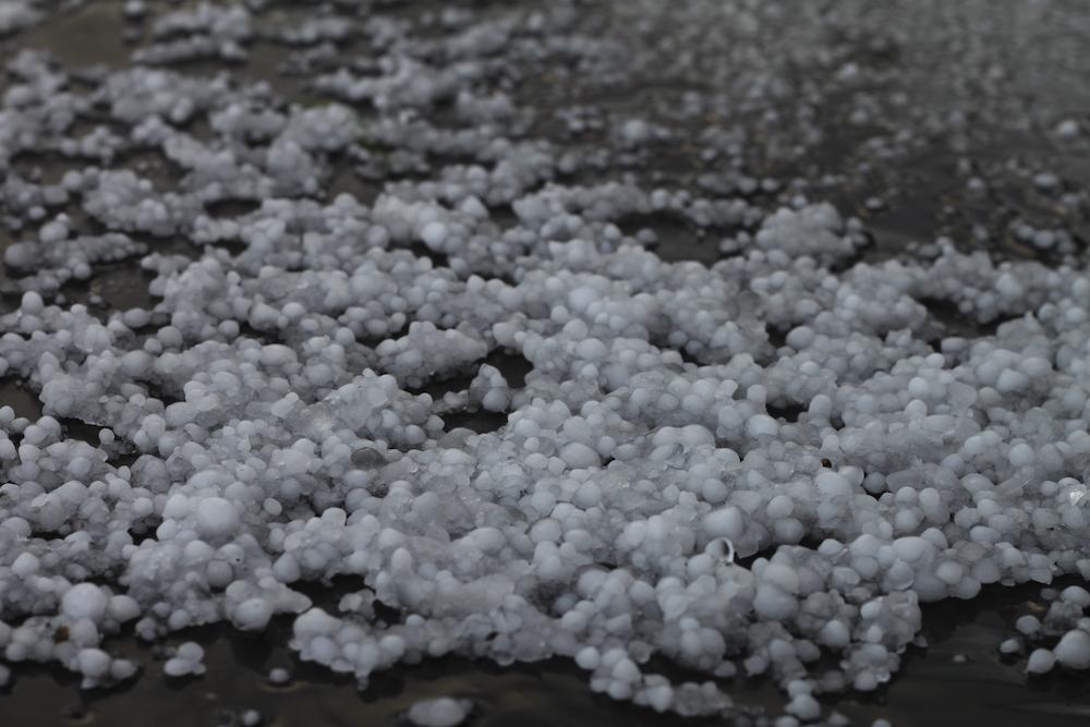 Address Indianapolis Hail Damage on your roof with guidance from Beard Roofing image shows pieces of hail
