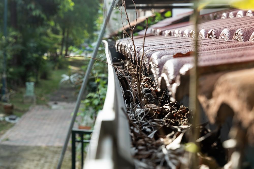 Contact Beard Roofing for Indianapolis Gutters installation, repair, and replacement image shows debris in gutter